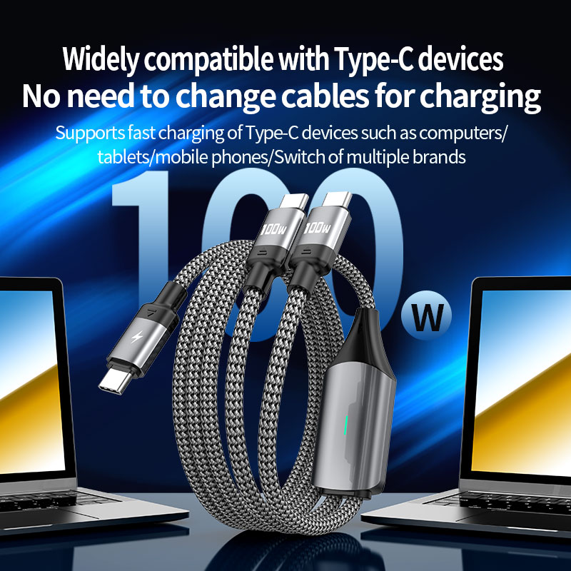  PD100W 2-in-1 PD fast charging data cable Type C to Type C USB cable 