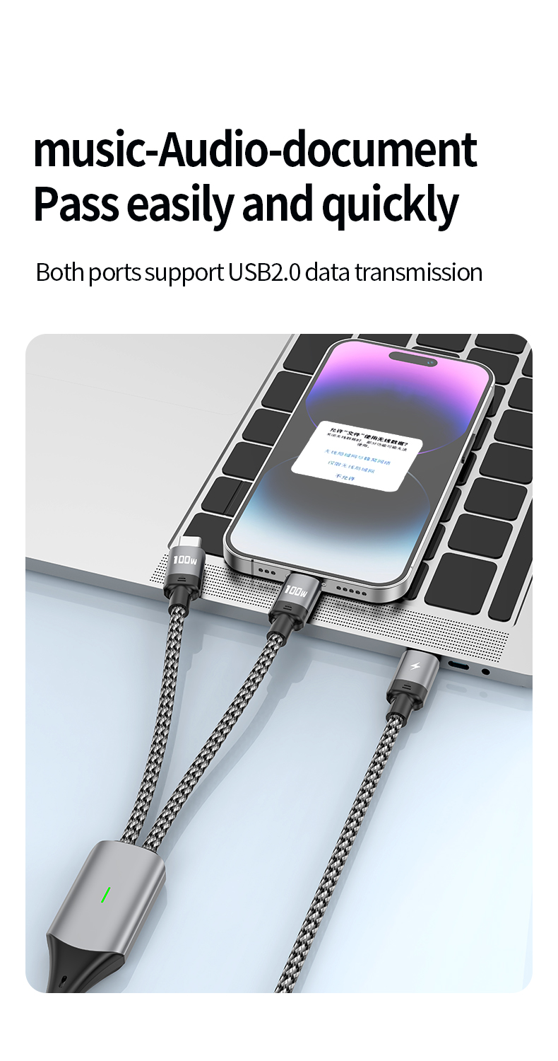  PD100W 2-in-1 PD fast charging data cable Type C to Type C USB cable 