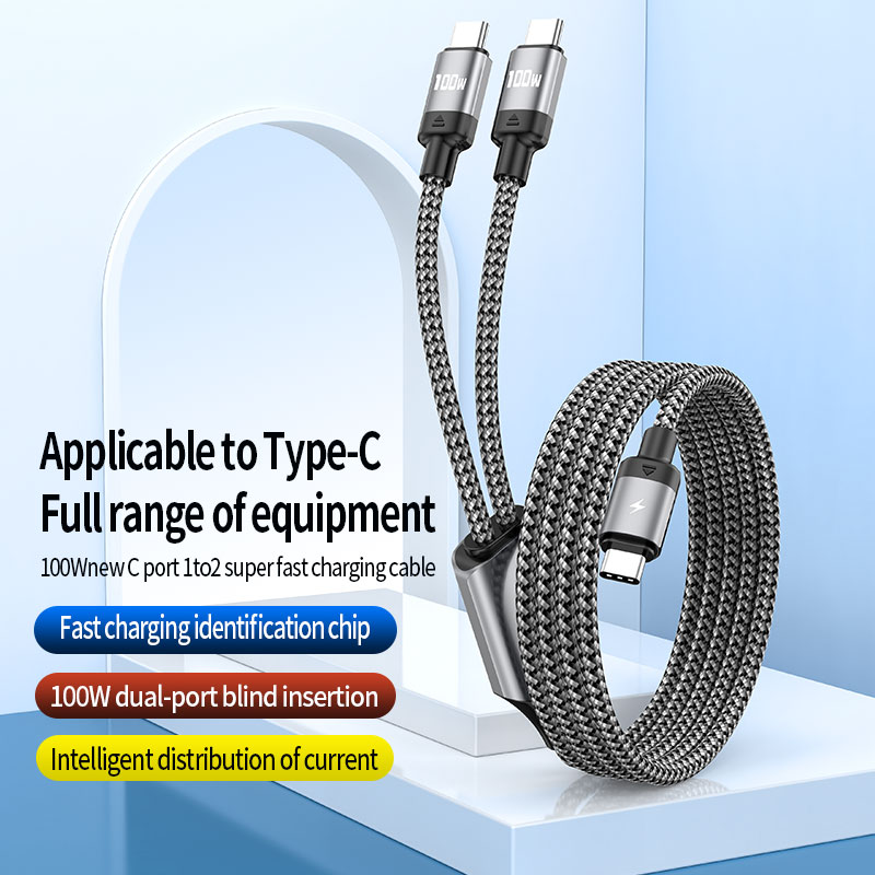  PD100W 2-in-1 PD fast charging data cable Type C to Type C USB cable 